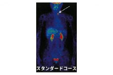 P2 スタンダードコース [№5704-0597]
