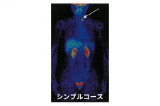 P3 シンプルコース [№5704-0598]