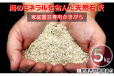 かきがら石灰 5kg 天然牡蠣殻使用 家庭菜園 ガーデニング 園芸 肥料 天然 石灰肥料 園芸用品 ガーデニング用品 プランター栽培 牡蠣殻 石灰 マグネシウム ミネラル 宮城 宮城県 岩沼市 [№5704-0606]