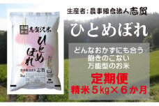 【10月再開予定/令和7年産新米】【6ヶ月定期便】宮城県岩沼市産 志賀沢米 ひとめぼれ 精米5kg 