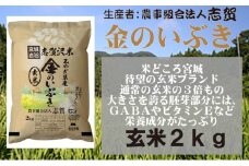 【令和7年産新米】玄米 金のいぶき 2kg 志賀沢米 岩沼産 お米 ブランド米 単一原料米 2キロ こめ コメ おこめ ご飯 ライス 玄米ごはん 玄米ご飯 きんのいぶき 金のいぶき玄米 東北 宮城県産 宮城米 宮城 宮城県 岩沼市 [№5704-0794]