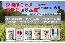 【10月受付再開予定/令和7年産新米】米 定期便 6ヶ月 食べ比べセット 2kg 志賀沢米 岩沼産 ひとめぼれ だて正夢 ササニシキ つや姫 ササシグレ つきあかり お米 白米 精米 ブランド米 2キロ ご飯 ライス 宮城県 岩沼市