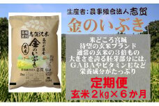 【令和7年産新米】玄米 定期便 6ヶ月 金のいぶき 2kg 志賀沢米 岩沼産 お米 ブランド米 2キロ こめ コメ ご飯 ライス 玄米ごはん 玄米ご飯 金のいぶき玄米 東北 宮城県産 米定期便 6回 半年 お楽しみ 宮城米 宮城 宮城県 岩沼市 [№5704-0804]
