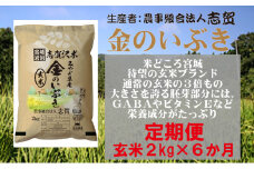 【令和7年産新米】玄米 定期便 6ヶ月 金のいぶき 2kg 志賀沢米 岩沼産 お米 ブランド米 2キロ こめ コメ ご飯 ライス 玄米ごはん 玄米ご飯 金のいぶき玄米 東北 宮城県産 米定期便 6回 半年 お楽しみ 宮城米 宮城 宮城県 岩沼市 [№5704-0804]