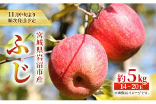 りんご 先行予約 ふじ 約 5kg 岩沼市産 フルーツ 完熟 蜜入り 蜜 蜜入りりんご 果物 旬 秋 冬 旬のフルーツ 旬の果物 季節のフルーツ 季節の果物 リンゴ 林檎 宮城 宮城県 岩沼市 11月中旬より発送予定 [№5704-0845]