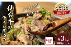 牛すじ煮込み 3kg (300g×10個) セット 詰め合わせ 仙台牛 国産 牛 国産牛 国産牛肉 牛肉 肉 お肉 牛すじ 牛筋 煮込み 惣菜 化学合成添加物不使用 保存料不使用 湯煎 湯せん ボイル 牛すじ肉 すじ肉 ご飯のお供 ごはんのお供 宮城 宮城県 岩沼市 [№5704-0859]
