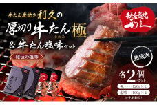 【特別寄附額】 牛タン 極 120g 塩味 100g 各2個 セット 利久 牛たん 熟成肉 タン塩 厚切り牛タン 牛 牛肉 肉 お肉 タン タン中 タン元 厚切り 焼肉 惣菜 おかず ご飯のお供 真空パック ギフト プレゼント 記念日 お土産 冷凍 冷凍配送 宮城 岩沼市