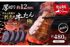 【特別寄附額】 牛タン 極 480g (120g×4個) セット 利久 牛たん 熟成肉 タン塩 厚切り牛タン 牛 牛肉 肉 お肉 タン タン中 タン元 厚切り 焼肉 焼き肉 惣菜 おかず ごはんのお供 ギフト プレゼント 記念日 お土産 冷凍 冷凍配送 宮城 宮城県 岩沼市