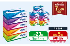ティッシュ クリネックス ティシュー 5箱入×4パック ティッシュペーパー セット 柔らかい 節約 日用品 日用雑貨 消耗品 備蓄 備蓄品 備蓄用 防災 災害 ボックスティッシュ テッシュ ペーパー ローリングストック 宮城 岩沼市 [№5704-1035]