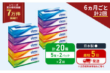 定期便 ティッシュ クリネックス ティシュー 5箱入×2パック《6ヶ月ごと計2回》 ティッシュペーパー セット 柔らかい 節約 日用品 日用雑貨 備蓄 備蓄用 防災 災害 ボックスティッシュ テッシュ ペーパー ローリングストック 宮城 岩沼市 [№5704-1036]
