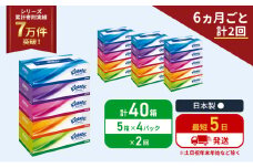 定期便 ティッシュ クリネックス ティシュー 5箱入×4パック《6ヶ月ごと計2回》 ティッシュペーパー セット 柔らかい 節約 日用品 日用雑貨 備蓄 備蓄用 防災 災害 ボックスティッシュ テッシュ ペーパー ローリングストック 宮城 岩沼市 [№5704-1037]