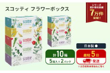 ティッシュ スコッティ フラワーボックス 10箱 (5箱×2パック) ティッシュペーパー ティシュー ティシューペーパーボックスティッシュ ボックスティシュー ティシュペーパー 防災 災害 日用品 生活用品 生活必需品 宮城県 岩沼市 [№5704-1124]