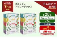 定期便 ティッシュ スコッティ フラワーボックス 20箱 (5箱×2パック)《6ヶ月ごと計2 回》 ティッシュペーパー ティシューペーパーボックスティッシュ ボックスティシュー ティシュペーパー 防災 災害 日用品 生活用品 生活必需品 宮城県 岩沼市 [№5704-1127]