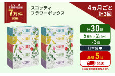 定期便 ティッシュ スコッティ フラワーボックス 30箱 (5箱×2パック)《4ヶ月ごと計3回》 ティッシュペーパー ティシューペーパーボックスティッシュ ボックスティシュー ティシュペーパー 防災 災害 日用品  生活用品 生活必需品 宮城県 岩沼市 [№5704-1131]