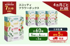 定期便 ティッシュ スコッティ フラワーボックス 60箱 (5箱×4パック)《4ヶ月ごと計3回》 ティッシュペーパー ティシューペーパーボックスティッシュ ボックスティシュー ティシュペーパー 防災 災害 日用品  生活用品 生活必需品 宮城県 岩沼市 [№5704-1132]