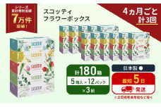 定期便 ティッシュ スコッティ フラワーボックス 180箱 (5箱×12パック)《4ヶ月ごと計3回》 ティッシュペーパー ティシューペーパーボックスティッシュ ボックスティシュー ティシュペーパー 防災 災害 日用品 生活用品 生活必需品 宮城県 岩沼市 [№5704-1134]