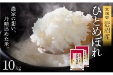 【先行予約】令和7年産新米 ひとめぼれ 10kg 米 岩沼産 お米 白米 精米 ブランド米 単一原料米 10キロ こめ コメ おこめ ご飯 ライス 東北 宮城県産 宮城県産ひとめぼれ 宮城米 宮城 宮城県 岩沼市[№5704-1211]