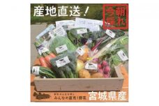 採れたて野菜を箱いっぱい詰め込んで♪岩沼みんなの家の「みんなの直売！野菜」セット詰め合わせ [№5704-0326]