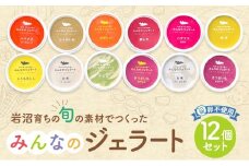 アイス みんなのジェラート 12個 詰め合わせ セット 岩沼みんなの家 ジェラート お米 ずんだ さつまいも とうもろこし かぼちゃ 食べ比べ アイスクリーム 氷菓 スイーツ デザート おやつ ヘルシー 東北 震災 支援 冷凍 冷凍配送 宮城 宮城県 岩沼市 [№5704-0636]