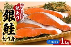 【6か月連続定期便】訳あり 銀鮭 切り身 1kg セット 詰め合わせ 銀シャケ 切身 鮭 サケ シャケ 鮭の切り身 規格外 不揃い 魚 魚介 魚介類 海鮮 海鮮セット 魚の切り身 鮭切身 冷凍 ご飯のお供 ごはんのお供 家庭用 訳アリ 宮城 宮城県 岩沼市 [№5704-1806]