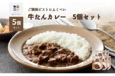 レトルト 牛たんカレー 5個セット 常温 常温保存 カレー レトルト食品 レトルトカレー 簡単 牛タン 宮城県[№5704-1750]