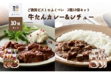 レトルト 牛たんカレー&シチュー 2種 10個 常温 常温保存 カレー シチュー レトルト食品 レトルトカレー レトルトシチュー 簡単 牛タン 宮城県[№5704-1753]