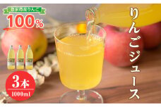 ≪登米市産りんご100%使用≫ りんごジュース 3本セット (1000ml×3本) りんご リンゴ 林檎 ジュース リンゴジュース 飲み物 飲料 フルーツ 果物 水分補給 ドリンク 【協同組合産直なかだ愛菜館】tm220