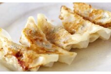 【伊達の純粋赤豚】赤豚生餃子 30個 (15個入り×2パック) 生餃子 ギョウザ 宮城県産 冷凍食品 おかず おつまみ 惣菜 豚 【有限会社伊豆沼農産】 tm065