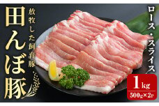 田んぼ豚 ロース スライス 1kg（500g × 2パック) 豚肉 ぶた ブタ しゃぶしゃぶ 生姜焼き 放牧飼育 小分け 【株式会社いなほ】 tm260