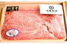 仙台牛 しゃぶしゃぶ用 300g 登米市産 牛肉 お肉 にく 宮城県産【三塚牧場】tm027
