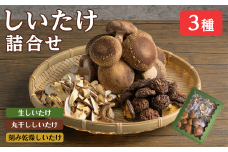 しいたけ詰め合わせセット 3種 (生・乾燥)  生しいたけ 丸干ししいたけ 刻み乾燥しいたけ 椎茸シイタケ きのこ キノコ ドライ 料理 茶碗蒸し 出汁 しいたけランド 【株式会社ワンズ】tm282