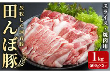 田んぼ豚 スライス1kg (500g×2P) 焼き肉用 豚肉 肉 お肉 冷凍 にく 登米市産 バーベキュー 【株式会社いなほ】tm265
