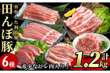 ≪希少なヒレ肉入り≫ 田んぼ豚セット 計1.2kg (200g×6種) 豚肉 肉 お肉 冷凍 にく 登米市産 ヒレ厚切り ロース バラ モモのスライス 肩焼肉用 ひき肉 【株式会社いなほ】tm269