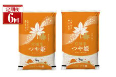 ＜隔月定期便＞ 【全6回】 宮城県登米市産 つや姫 合計60kg(10kg×6回) 2ヶ月毎 精米 お米 おこめ 米 つやひめ コメ 白米 ご飯 ごはん おにぎり お弁当 ブランド米 頒布会【登米ライスサービス株式会社】tm161