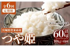 ＜先行予約！2025年10月から発送開始予定＞≪令和7年産≫【6回定期便】つや姫 計60kg (10kg×6回配送) 登米市産 お米 おこめ 米 コメ 白米 ご飯 ごはん おにぎり お弁当 6か月 頒布会【登米ライスサービス株式会社】tm459