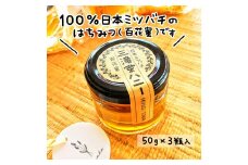 【日本みつばち】 はちみつセット 計150g (50g×3瓶) 三滝堂ハニー 百花蜜 ハチミツ ミツバチ 蜂蜜 ハニー 登米 【株式会社まちおもい】tm283