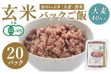 金のいぶき玄米と大麦を炊いたパックごはん  150g×20パック 黒米入り 大麦40％入り 有機JAS 黒米 レンジ パックライス ご飯 米 レンチン 【有機農園ファーミン株式会社】tm110