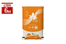 ＜隔月定期便＞ 【全6回】 宮城県登米市産 つや姫 合計30kg(5kg×6回) 2ヶ月毎 精米 お米 おこめ 米 つやひめ コメ 白米 ご飯 ごはん おにぎり お弁当 ブランド米 頒布会【登米ライスサービス株式会社】tm160