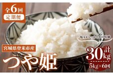 ＜先行予約！2025年10月から発送開始予定＞≪令和7年産≫【6回定期便】つや姫 計30kg (5kg×6回配送) 登米市産 お米 おこめ 米 コメ 白米 ご飯 ごはん おにぎり お弁当 6か月 頒布会【登米ライスサービス株式会社】tm458