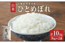 【令和6年度産】 ひとめぼれ 10kg (5kg×2袋) 和紙袋仕様 お米 おこめ 米 コメ 白米 ご飯 ごはん おにぎり お弁当 【ライス宮城株式会社】tm302