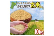 ＜先行予約！2025年9月末より順次発送予定＞≪令和7年産・新米≫  宮城県登米市産 ひとめぼれ 玄米 10kg お米 おこめ 米 白米 コメ ご飯 ごはん おにぎり お弁当 ブランド米【有限会社伊豆沼農産】tm406