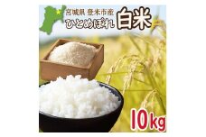 ＜先行予約！2025年9月末より順次発送予定＞≪令和7年産・新米≫ 宮城県登米市産 ひとめぼれ 10kg 精米 お米 おこめ 米 コメ 白米 ご飯 ごはん おにぎり お弁当 ブランド米【有限会社伊豆沼農産】tm405