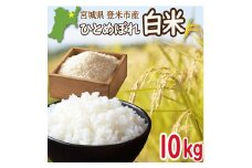 ＜先行予約！2025年9月末より順次発送予定＞≪令和7年産・新米≫ 宮城県登米市産 ひとめぼれ 10kg 精米 お米 おこめ 米 コメ 白米 ご飯 ごはん おにぎり お弁当 ブランド米【有限会社伊豆沼農産】tm405