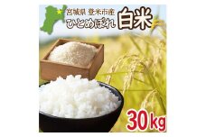 ＜先行予約！2025年9月末より順次発送予定＞≪令和7年産・新米≫ 宮城県登米市産 ひとめぼれ 30kg 精米 お米 おこめ 米 コメ 白米 ご飯 ごはん おにぎり お弁当 ブランド米【有限会社伊豆沼農産】tm407