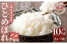 ＜先行予約！2025年10月以降順次発送予定＞≪令和7年産 新米≫  ひとめぼれ 10kg (5kg×2袋)  登米市産 お米 おこめ 米 コメ 白米 ご飯 ごはん おにぎり お弁当 【登米ライスサービス株式会社】tm144