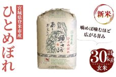 ＜先行予約！2025年10月以降順次発送予定＞≪令和7年産 新米≫ ひとめぼれ 玄米 30kg 登米市産 お米 おこめ 米 コメ ご飯 ごはん おにぎり お弁当 【登米ライスサービス株式会社】tm142