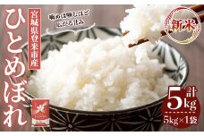 ＜先行予約！2025年10月以降順次発送予定＞≪令和7年産 新米≫ ひとめぼれ 5kg (5kg×1袋) 登米市産 お米 おこめ 米 コメ 白米 ご飯 ごはん おにぎり お弁当 【登米ライスサービス株式会社】tm146