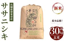 ＜先行予約！2025年10月以降順次発送予定＞≪令和7年産 新米≫ ササニシキ 玄米 30kg 登米市産 お米 おこめ 米 コメ ささにしき ご飯 ごはん おにぎり お弁当 【登米ライスサービス株式会社】tm150