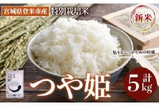 ＜先行予約！2025年10月以降順次発送予定＞≪令和7年産 新米≫ 特別栽培米 つや姫 5kg (5kg×1袋)  登米市産 お米 おこめ 米 コメ 白米 ご飯 ごはん おにぎり お弁当 【登米ライスサービス株式会社】tm154
