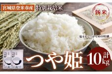 ＜先行予約！2025年10月以降順次発送予定＞≪令和7年産 新米≫ 特別栽培米 つや姫 10kg (5kg×2袋)  登米市産 お米 おこめ 米 コメ 白米 ご飯 ごはん おにぎり お弁当 【登米ライスサービス株式会社】tm155